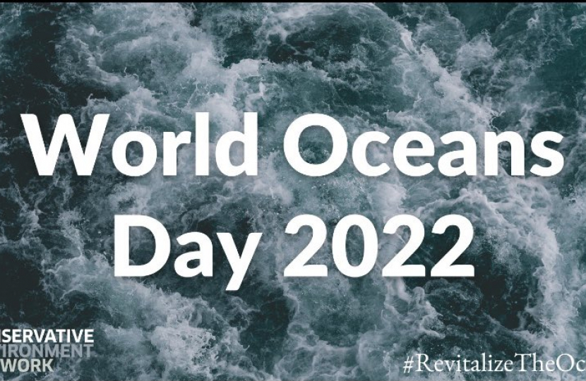 World Oceans Day 