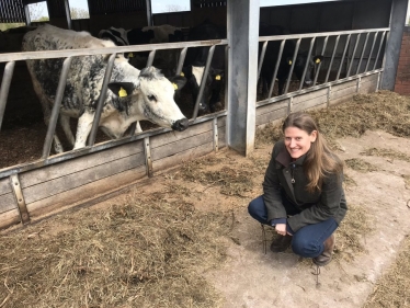 Theo Clarke MP at a dairy farm