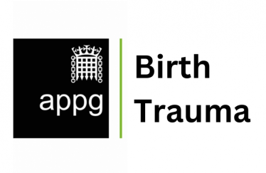 APPG Birth Trauma logo