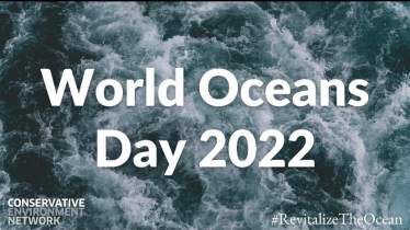 World Oceans Day 